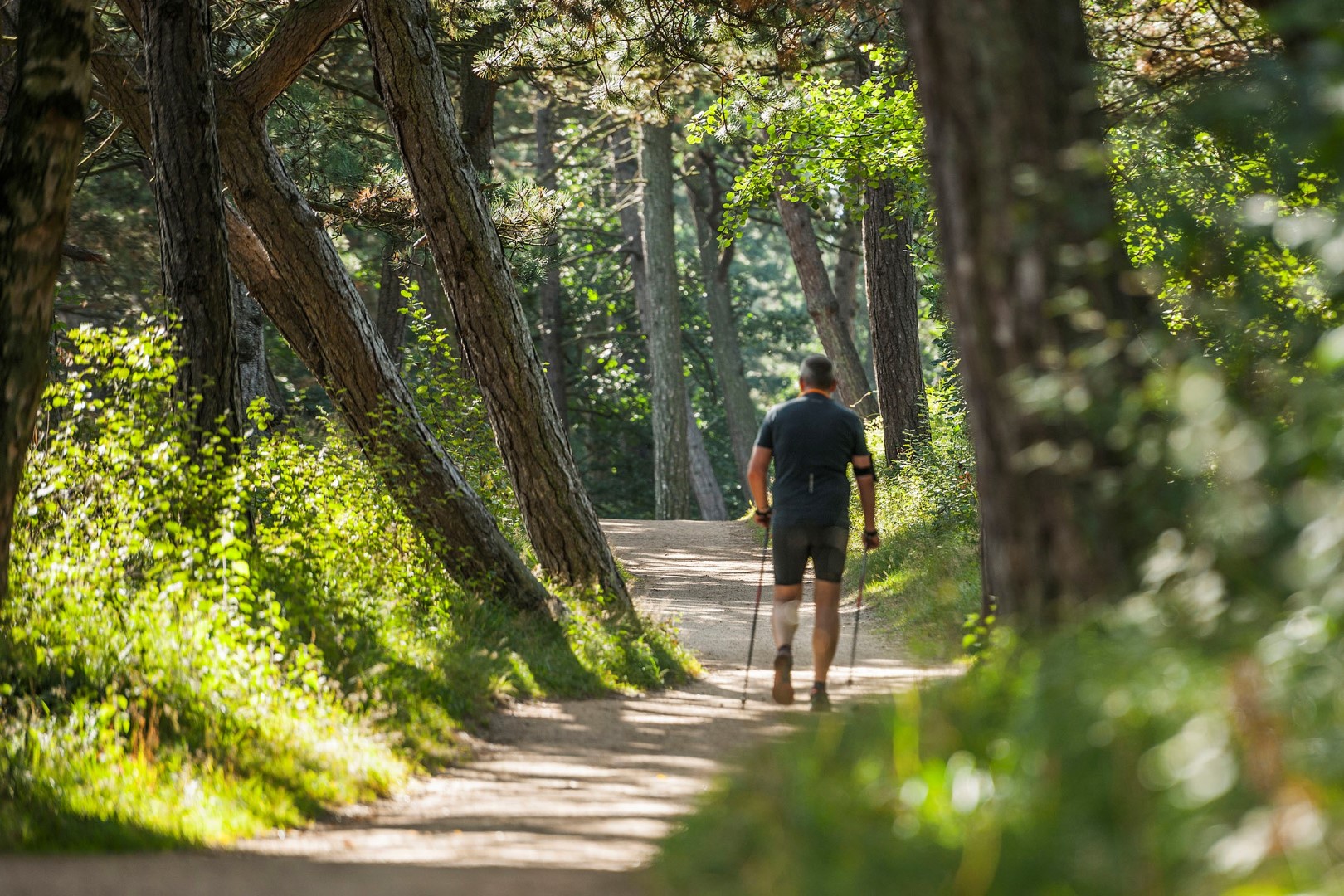 Unterwegs im Kiefernwald von St. Peter-Ording.Photo Credit: Oliver Franke Unterwegs im Kiefernwald von St. Peter-Ording.Photo Credit: Oliver Franke