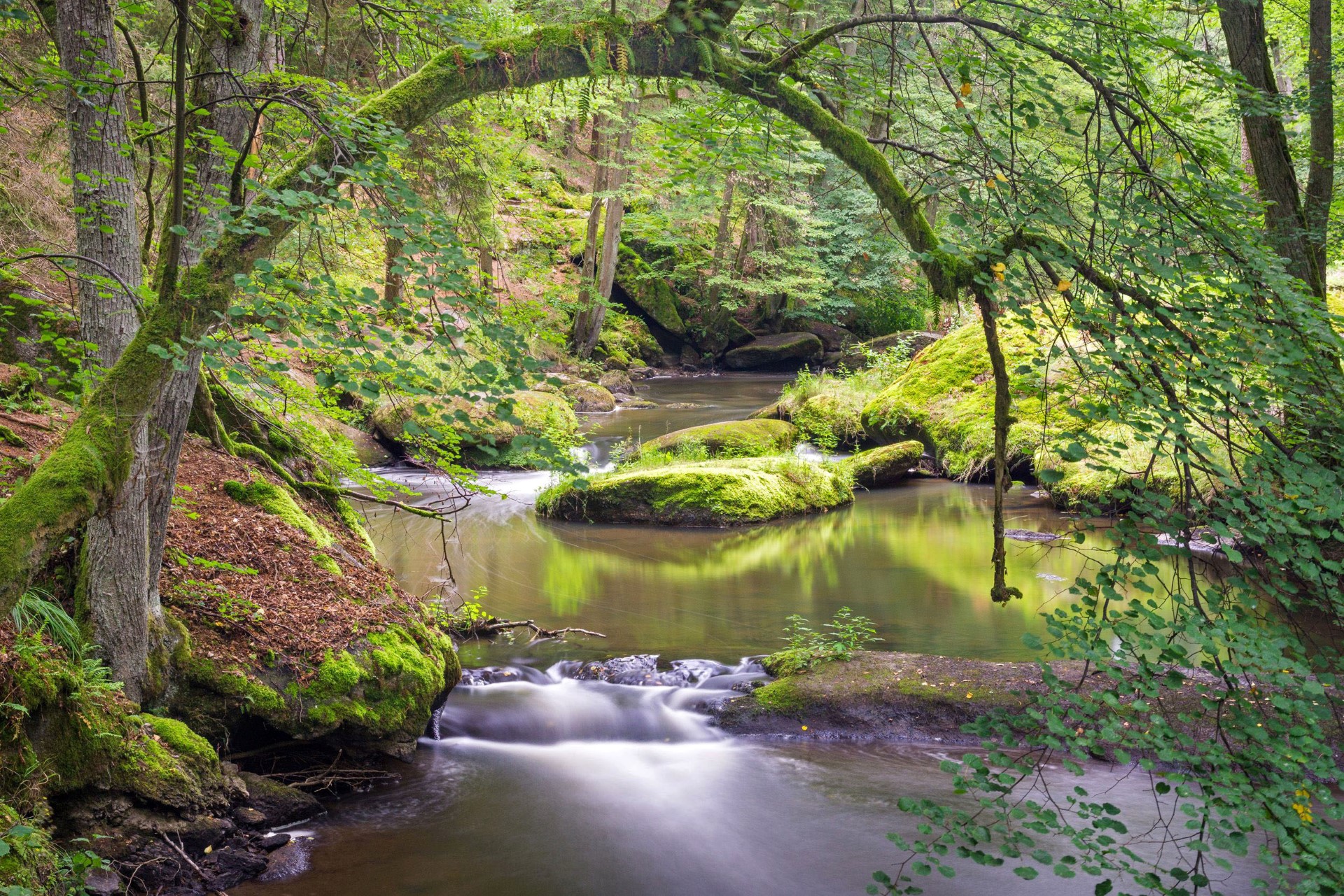 Das märchenhafte und wildromantische Waldnaabtal. Foto: djd | Tourismuszentrum Oberpfälzer Wald | Matthias Kunz Das märchenhafte und wildromantische Waldnaabtal. Foto: djd | Tourismuszentrum Oberpfälzer Wald | Matthias Kunz